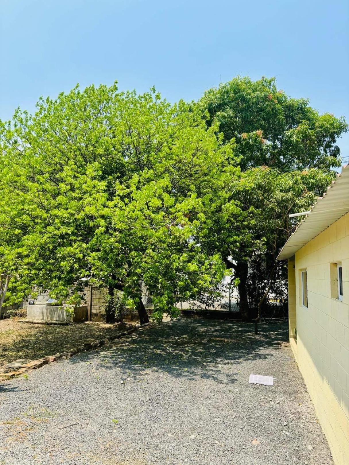 Hostal Camila'S Tamanique Екстер'єр фото