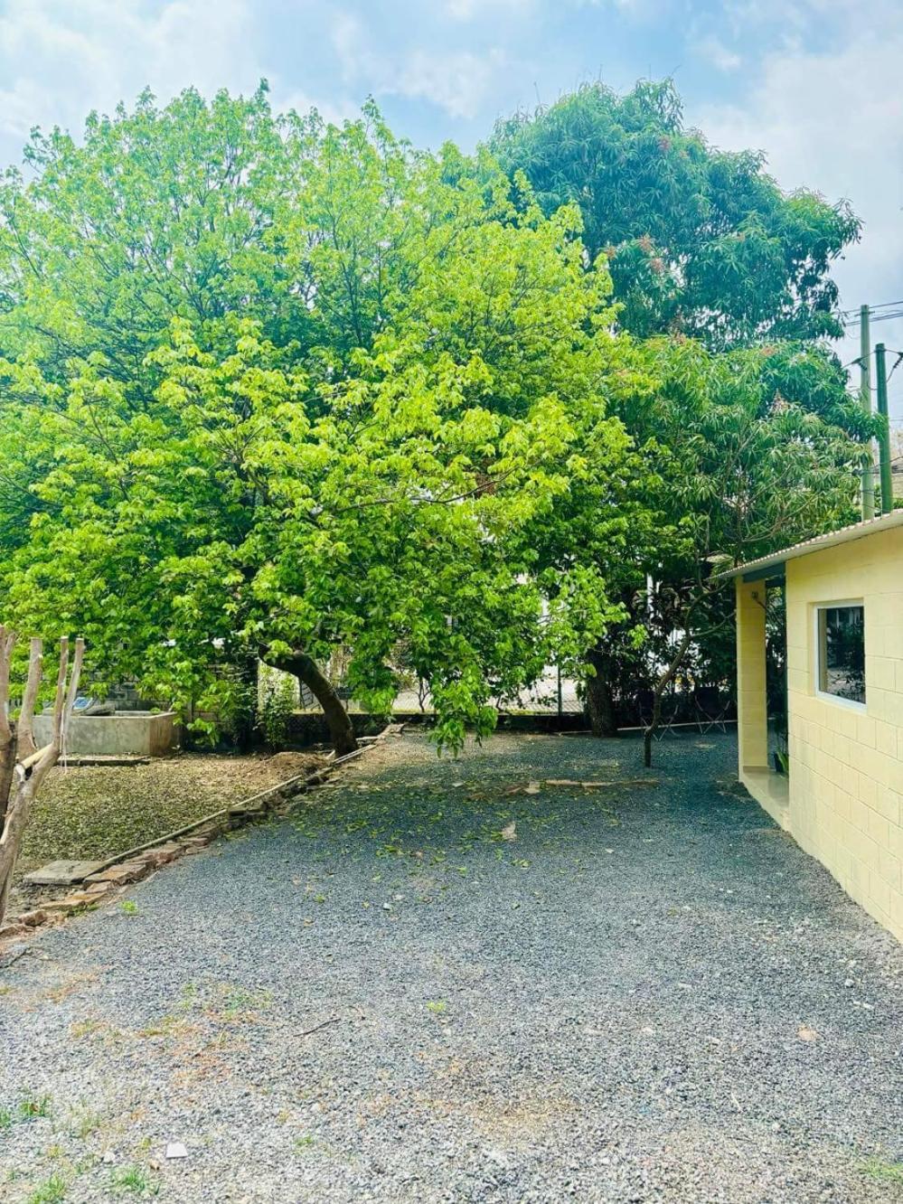 Hostal Camila'S Tamanique Екстер'єр фото